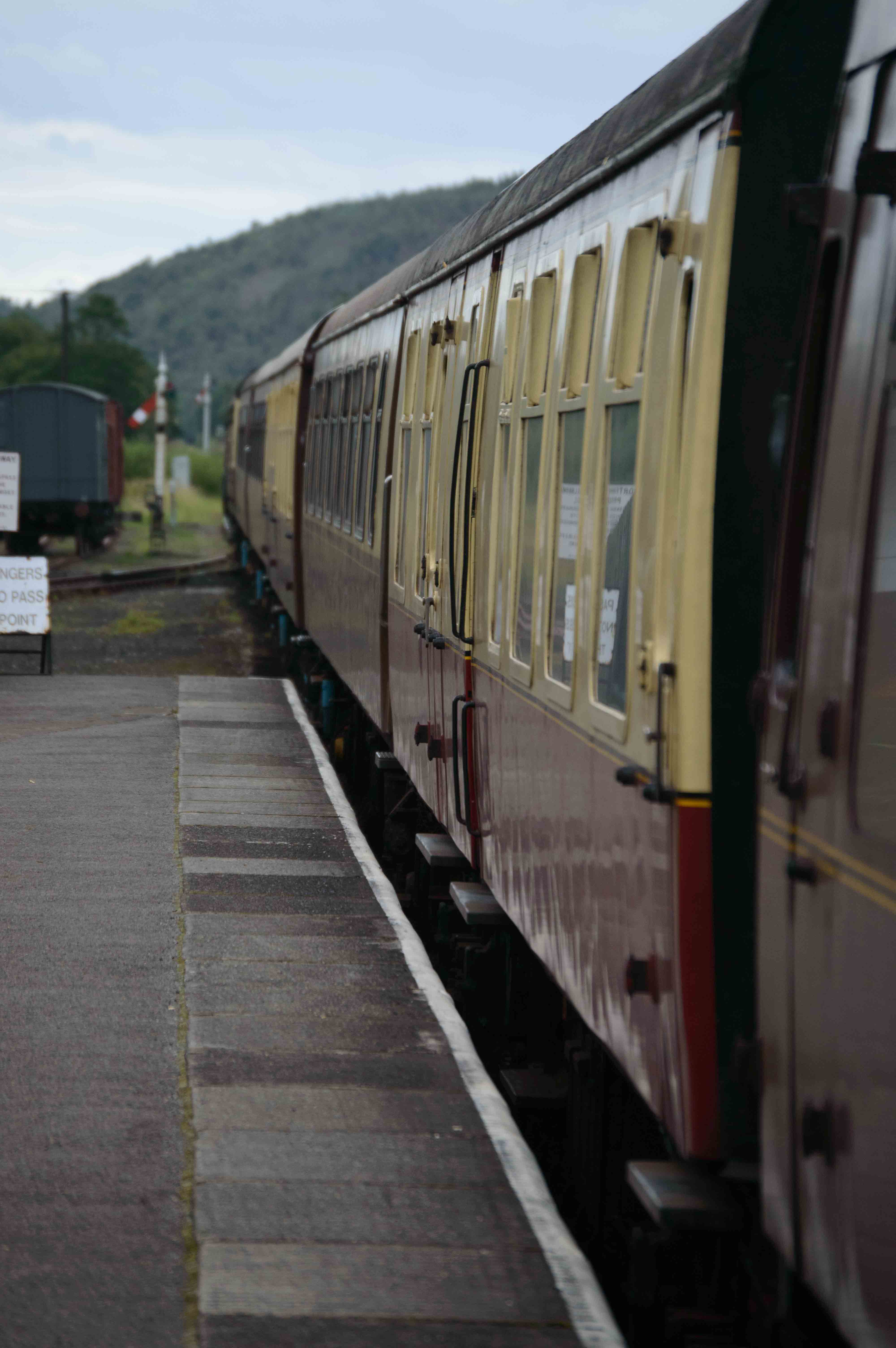 9213 at Levisham Station